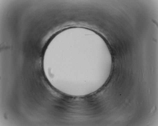 X0000097481503200803141923