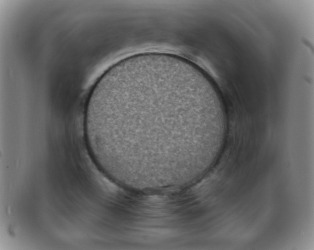 X0000097481504200803141923