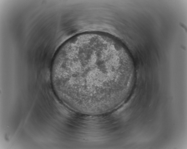 X0000097481505200803141923