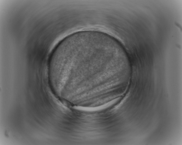 X0000097481506200803141923