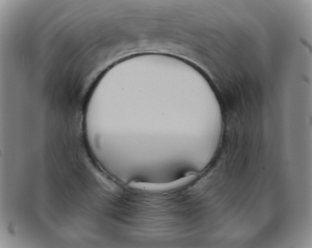 X0000097481507200803141923