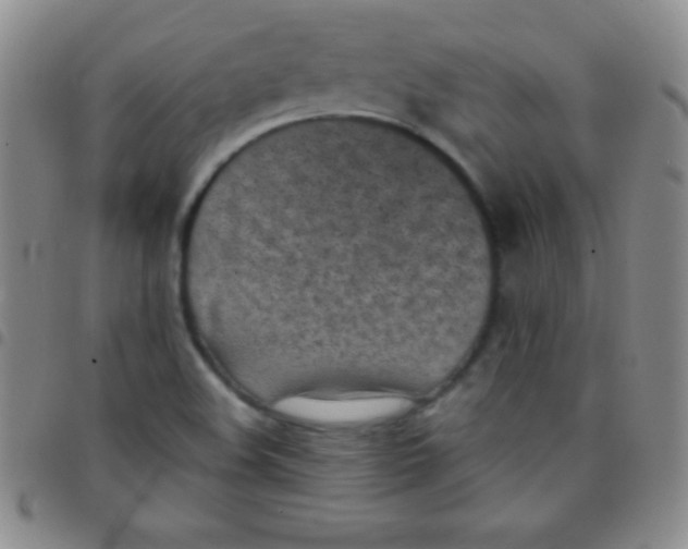 X0000097481508200803141923