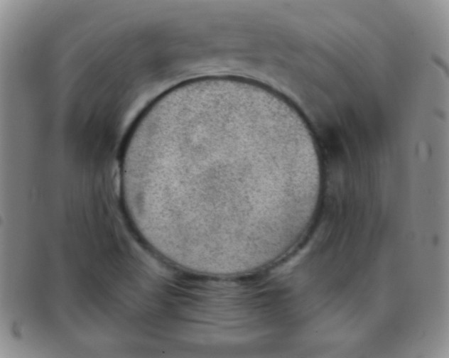 X0000097481509200803141923