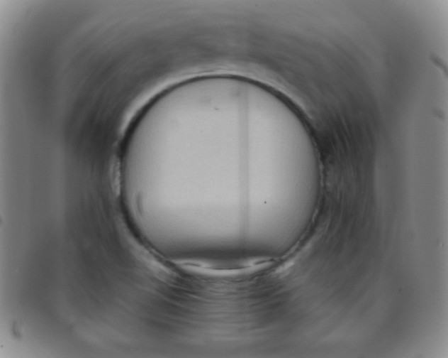 X0000097481510200803141923