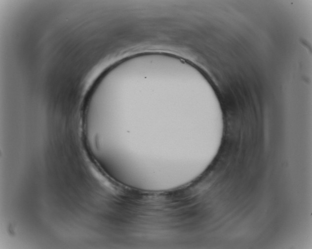 X0000097481511200803141923