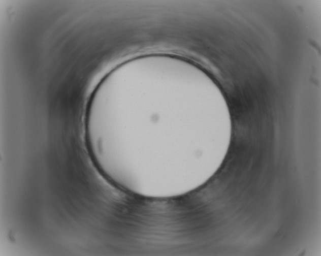 X0000097481512200803141923