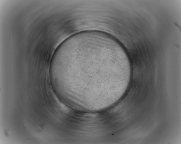 X0000097481513200803141923