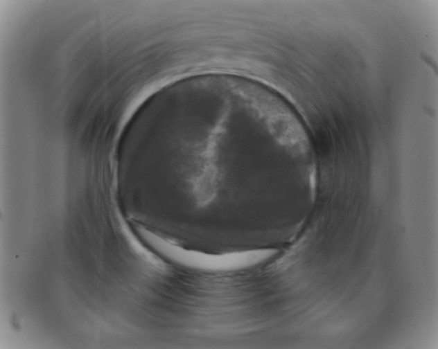 X0000097481515200803141924