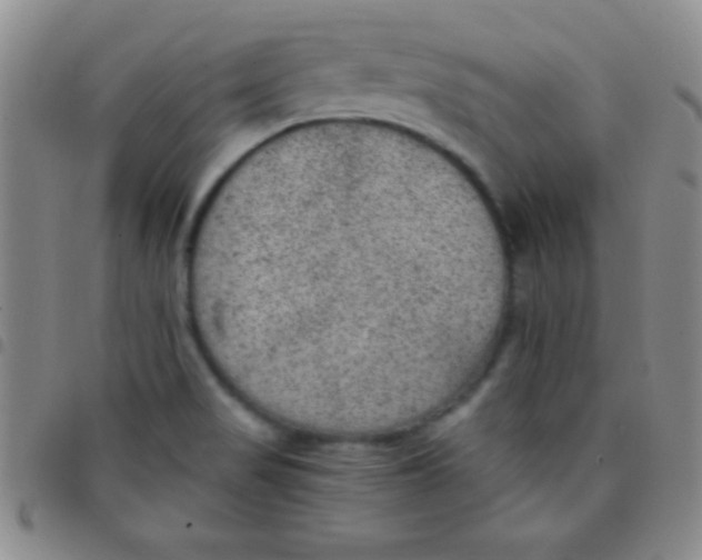 X0000097481517200803141924