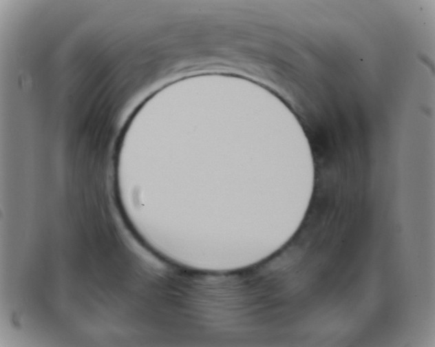 X0000097481518200803141924