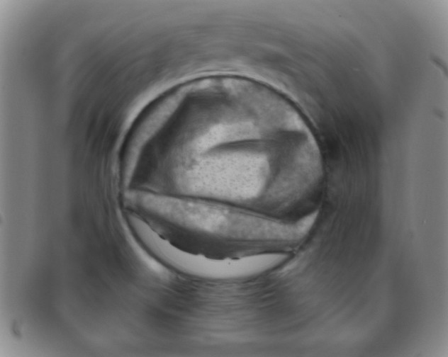 X0000097481519200803141924