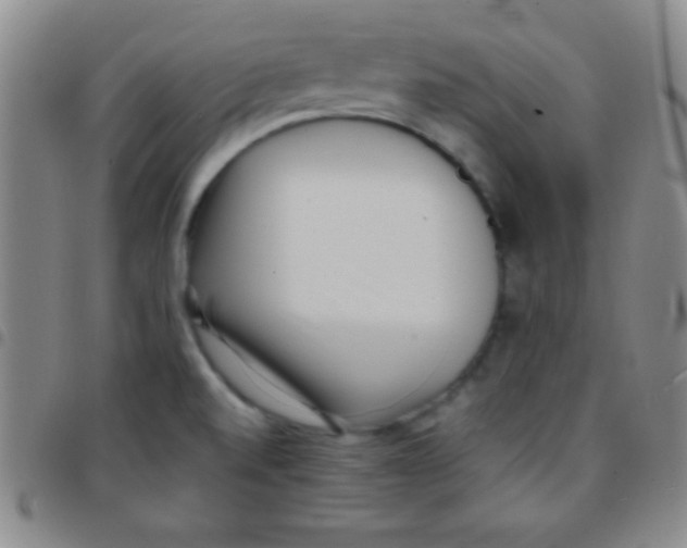 X0000097481520200803141924