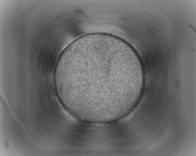 X0000097481521200803141924