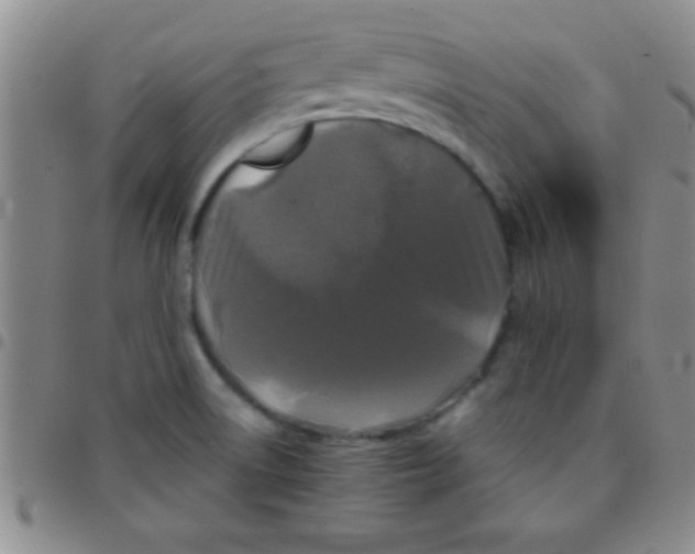 X0000097481522200803141924