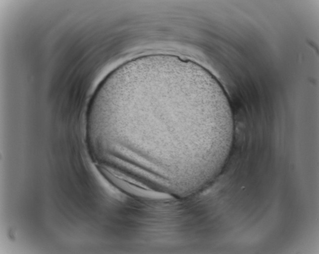 X0000097481523200803141924