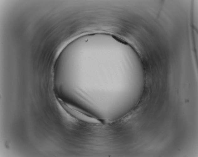 X0000097481524200803141924