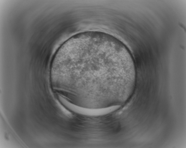 X0000097481525200803141924