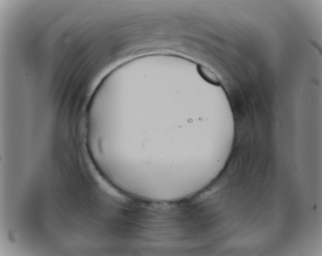 X0000097481526200803141924