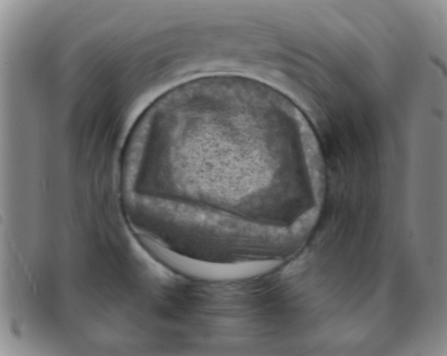 X0000097481527200803141924