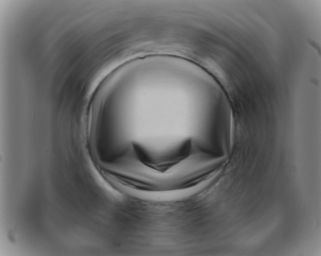 X0000097481528200803141924