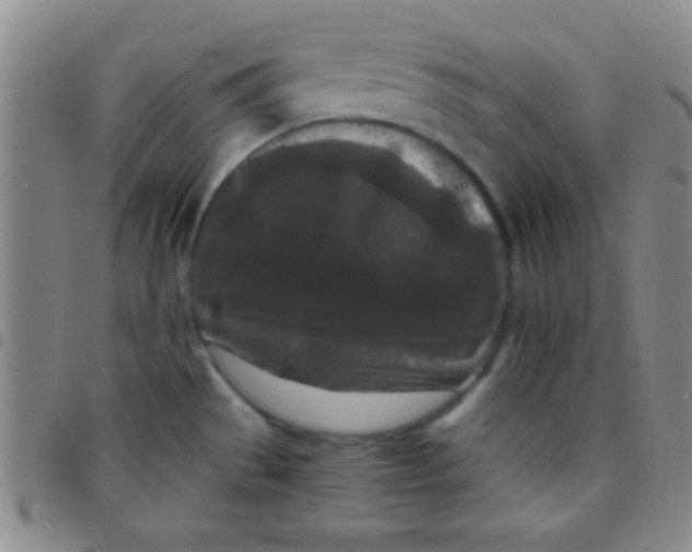 X0000097481529200803141924