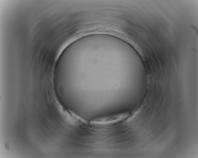 X0000097481530200803141924