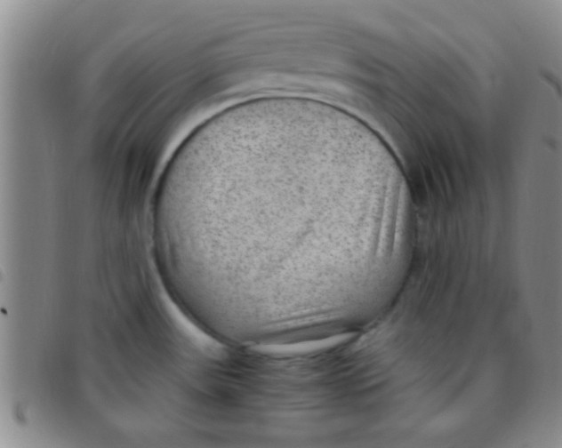 X0000097481531200803141924