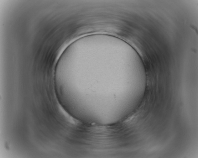 X0000097481532200803141924