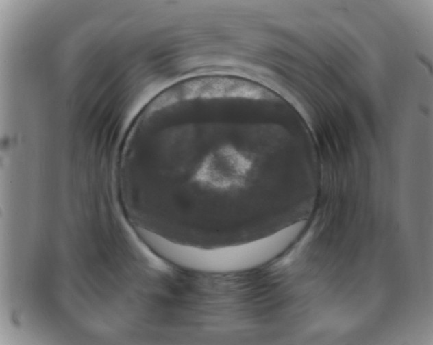 X0000097481533200803141924