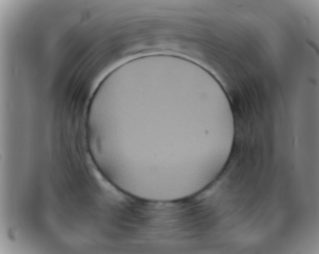 X0000097481534200803141924