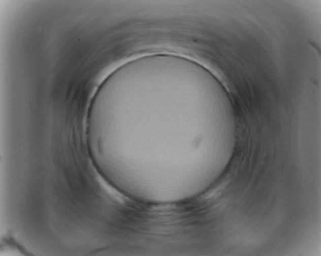 X0000097481535200803141924