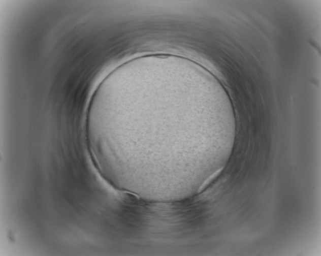 X0000097481536200803141924