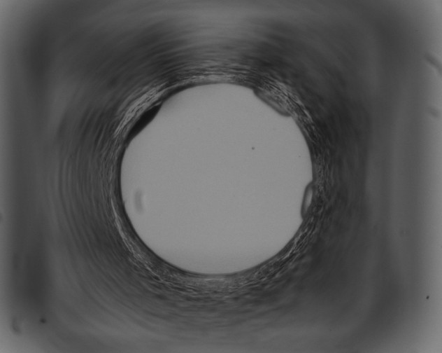 X0000097480001200803201519