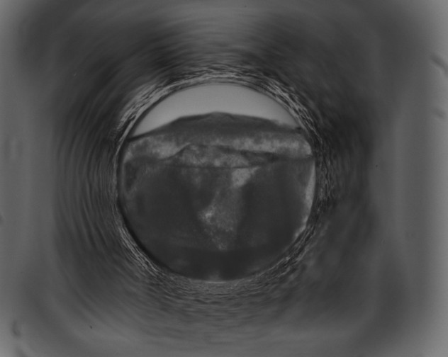 X0000097480002200803201519