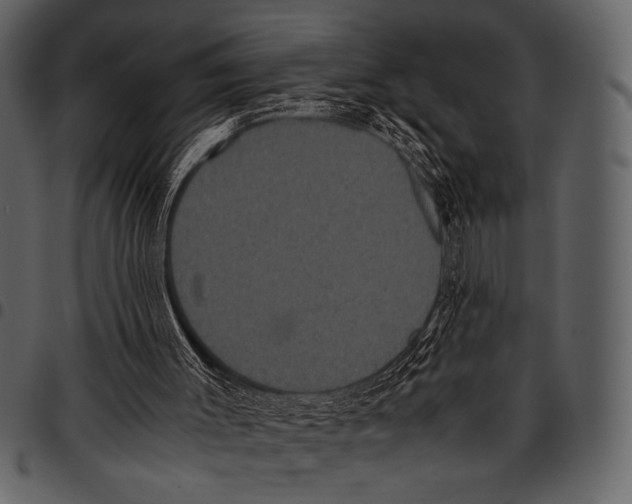 X0000097480003200803201519