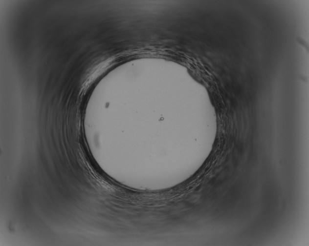 X0000097480005200803201519