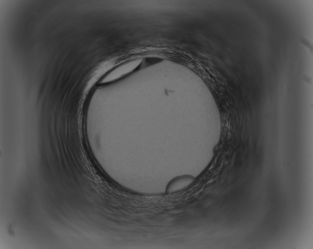 X0000097480006200803201519