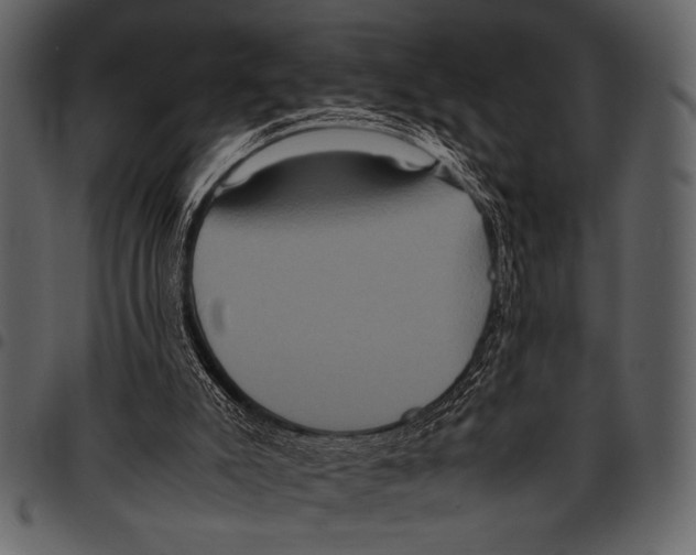 X0000097480007200803201519