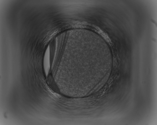 X0000097480009200803201519