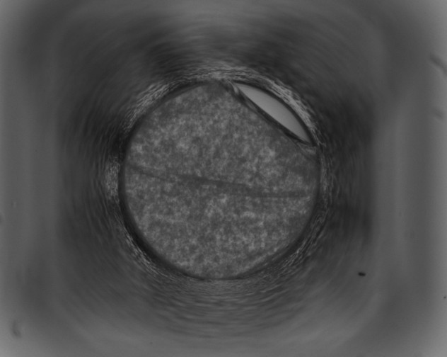 X0000097480010200803201519