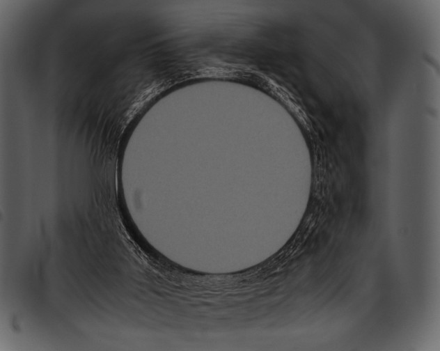 X0000097480011200803201519