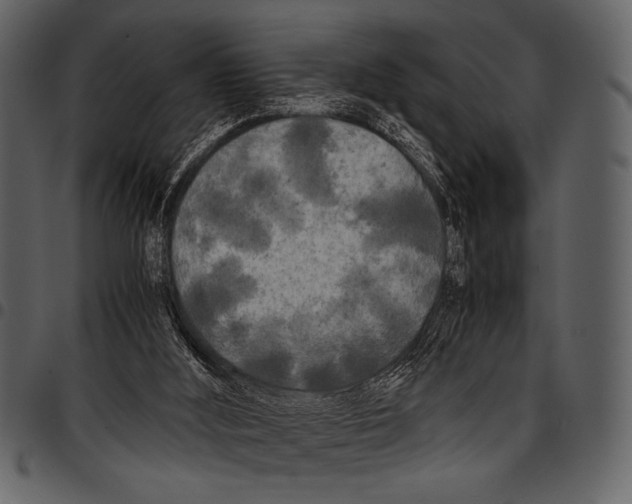 X0000097480012200803201519