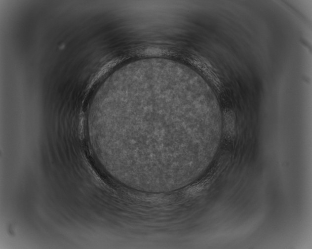 X0000097480016200803201519