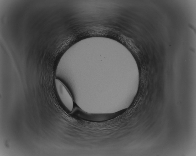 X0000097480017200803201519