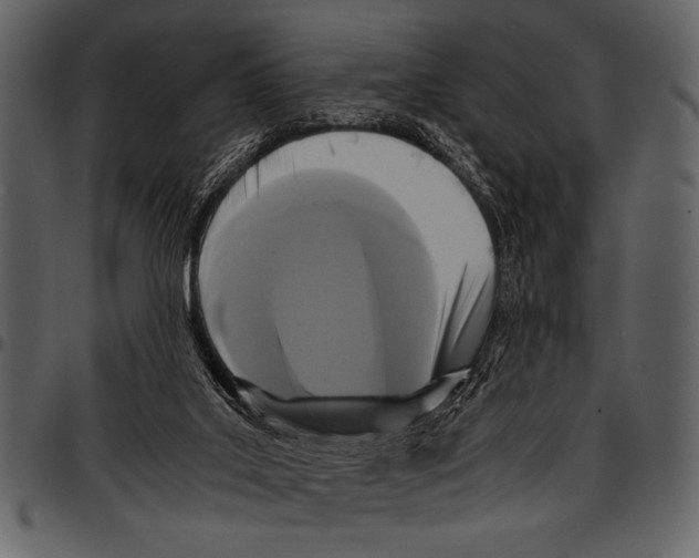 X0000097480019200803201519