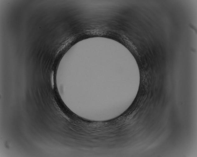 X0000097480020200803201519