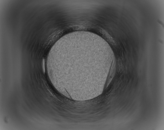 X0000097480022200803201519