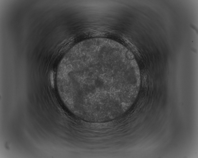 X0000097480026200803201519