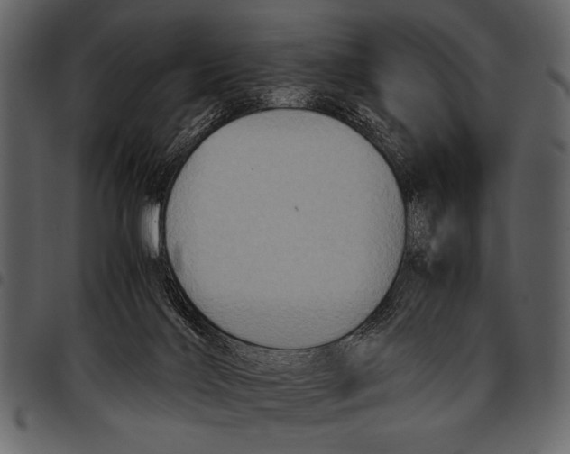 X0000097480028200803201519