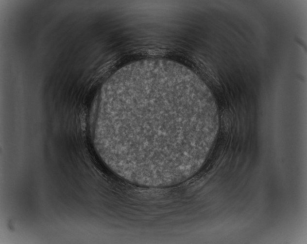 X0000097480032200803201519